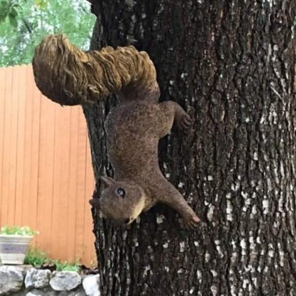 Simone The Squirrel Woodland Decor Hanging Garden Statue - Picture 2 of 2